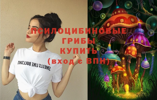 не бодяженный Алзамай